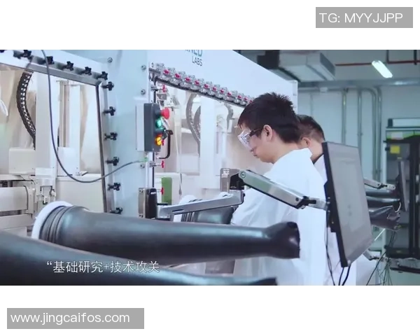 深圳篮球队的精神探秘与战术解析全景呈现